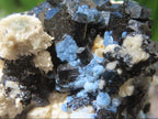 Natural Schorl Black Tourmaline and Beryl Infused Hyalite Opal Specimen x 1 From Erongo, Namibia