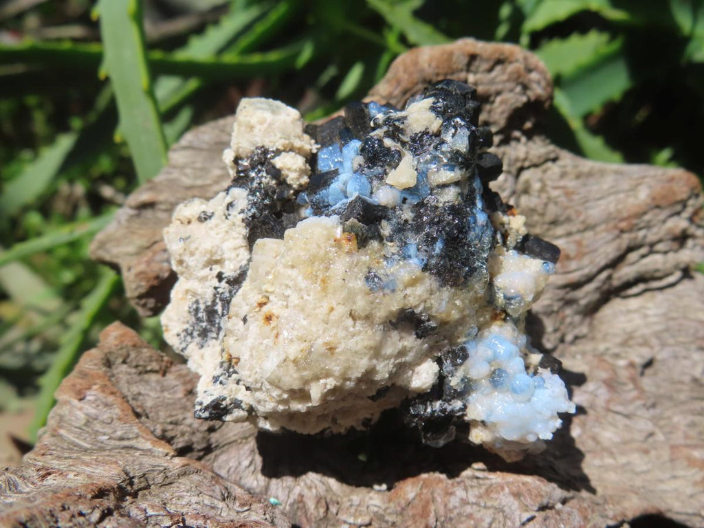 Natural Schorl Black Tourmaline and Beryl Infused Hyalite Opal Specimen x 1 From Erongo, Namibia