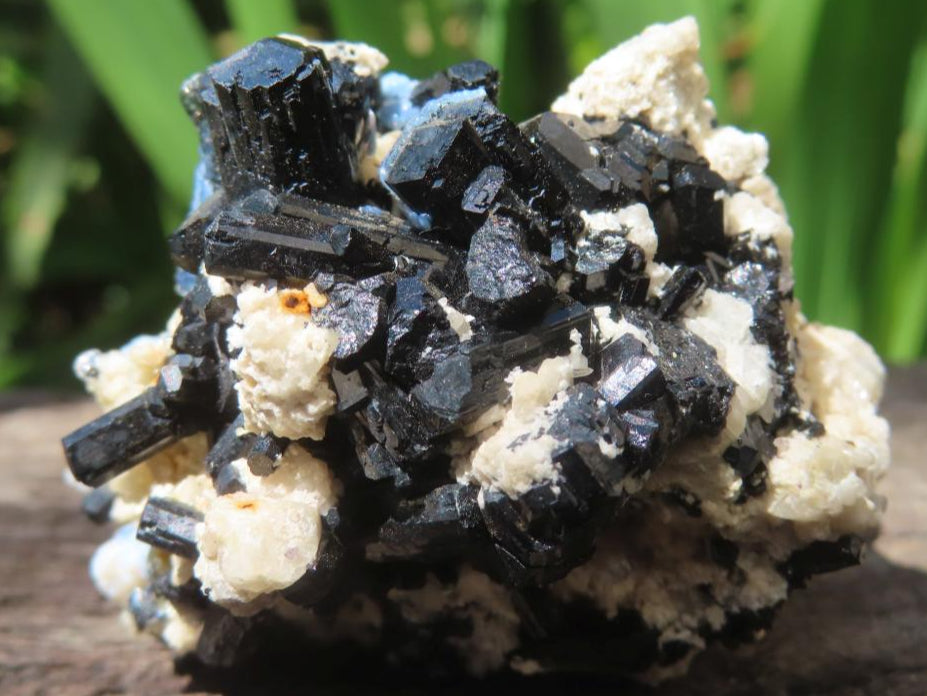 Natural Schorl Black Tourmaline and Beryl Infused Hyalite Opal Specimen x 1 From Erongo, Namibia
