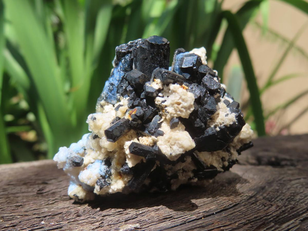Natural Schorl Black Tourmaline and Beryl Infused Hyalite Opal Specimen x 1 From Erongo, Namibia