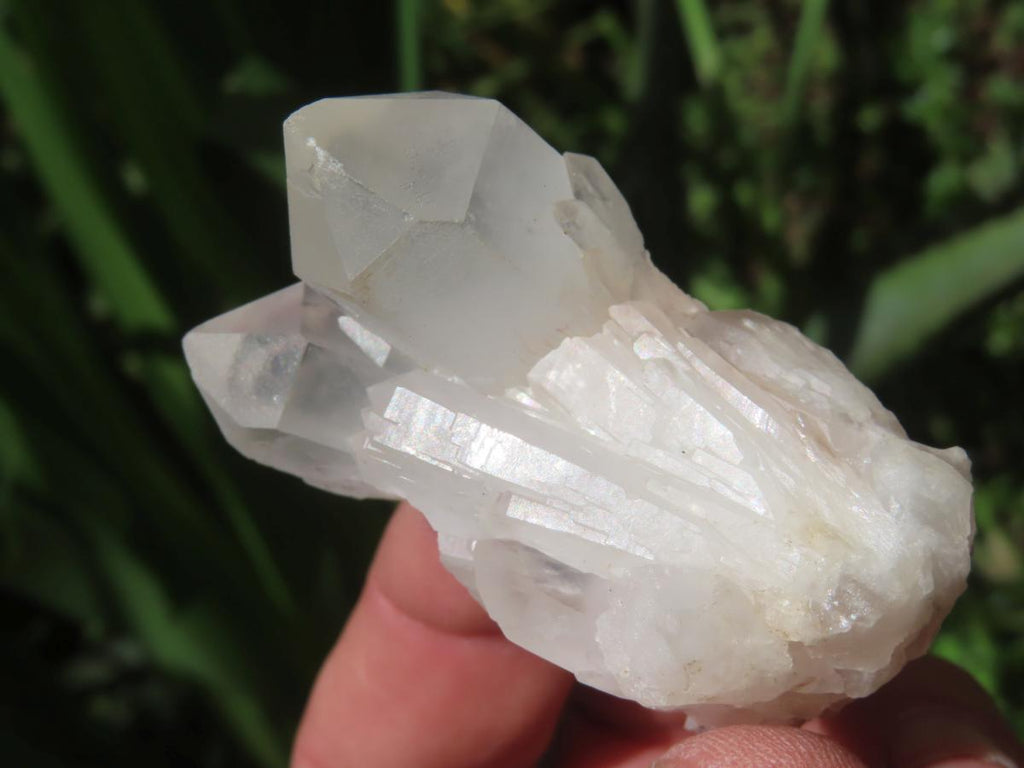 Natural and Extremely Rare Hollandite Star Quartz Cluster x 1 From Ambositra, Madagascar