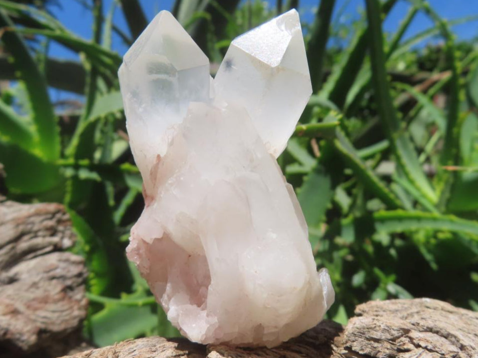 Natural and Extremely Rare Hollandite Star Quartz Cluster x 1 From Ambositra, Madagascar