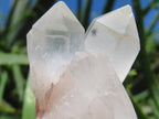 Natural and Extremely Rare Hollandite Star Quartz Cluster x 1 From Ambositra, Madagascar