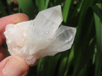 Natural and Extremely Rare Hollandite Star Quartz Cluster x 1 From Ambositra, Madagascar