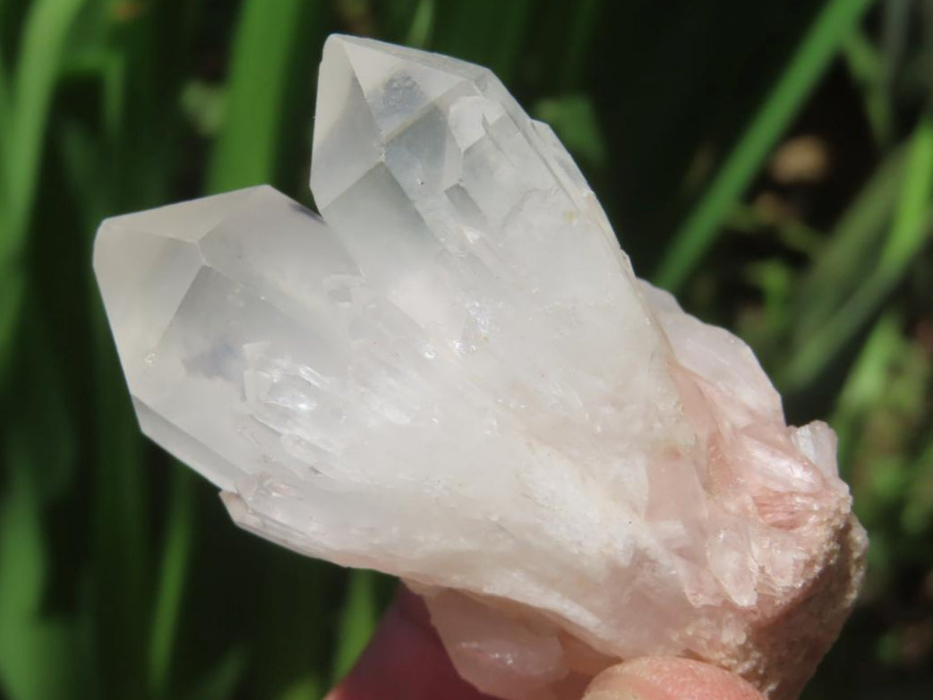 Natural and Extremely Rare Hollandite Star Quartz Cluster x 1 From Ambositra, Madagascar