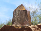 Polished Champagne Citrine Phantom Quartz Crystal x 1 From Madagascar