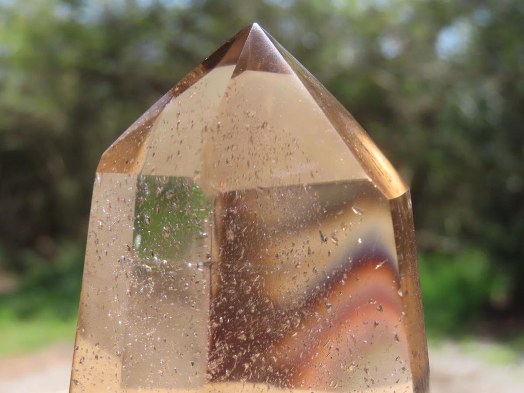 Polished Champagne Citrine Phantom Quartz Crystal x 1 From Madagascar