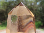 Polished Champagne Citrine Phantom Quartz Crystal x 1 From Madagascar