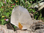 Polished Rare Golden Rutile Quartz Crystal x 1 From Madagascar