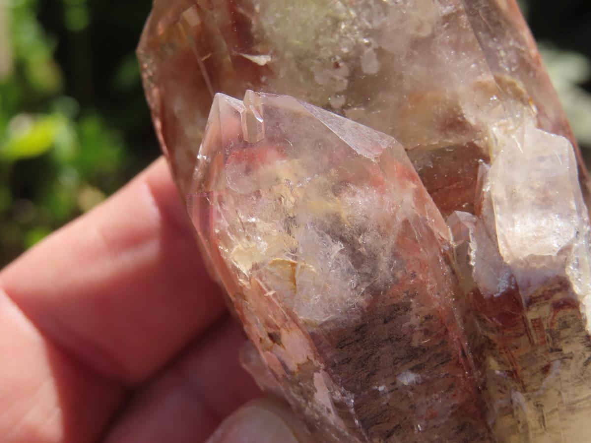 Natural Red Hematoid Quartz Crystal x 1 From Karoi, Zimbabwe