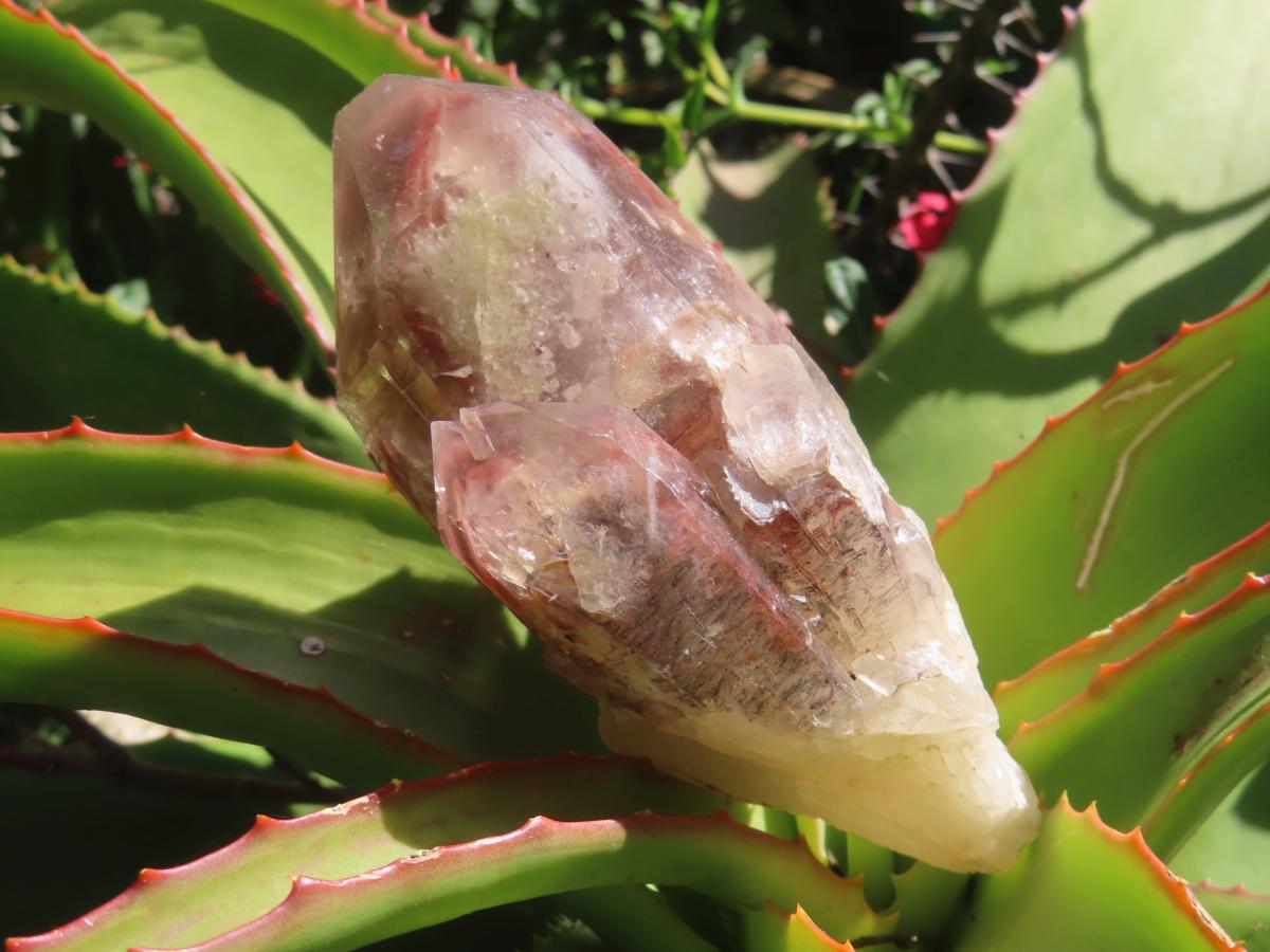 Natural Red Hematoid Quartz Crystal x 1 From Karoi, Zimbabwe