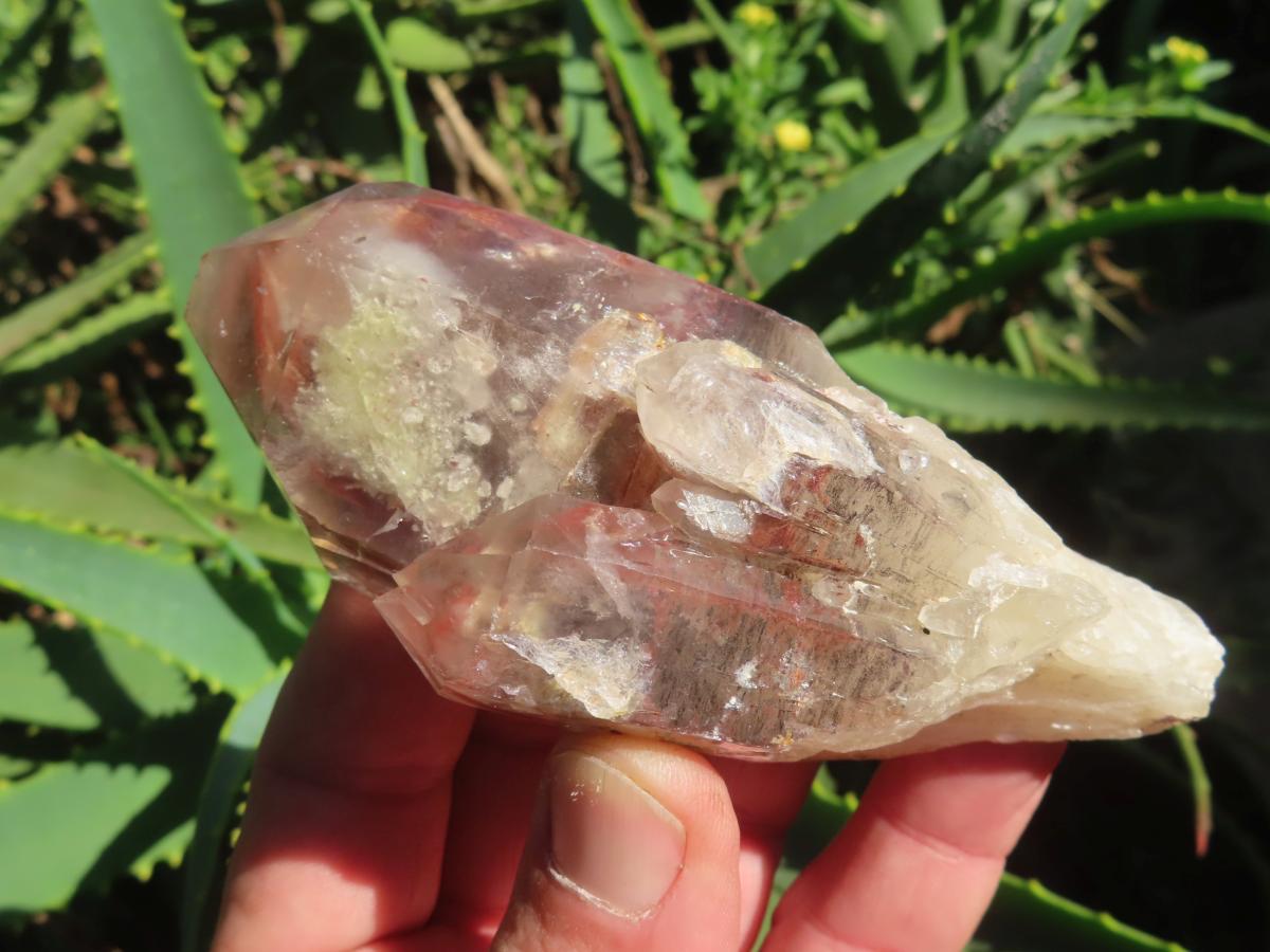 Natural Red Hematoid Quartz Crystal x 1 From Karoi, Zimbabwe