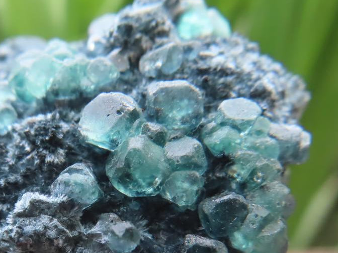 Natural Rare Foitite and Fluorescent Fluorite on Feldspar Specimen x 1 From Erongo, Namibia