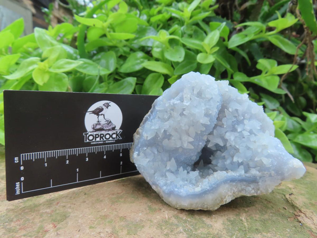 Natural Blue Lace Agate Geode with Fluorescent Dog Tooth Calcite Specimen x 1 From Nsanje, Malawi