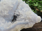 Natural Blue Lace Agate Geode with Fluorescent Dog Tooth Calcite Specimen x 1 From Nsanje, Malawi