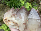 Natural XL Red Phantom Hematoid Quartz Crystal Cluster x 1 From Karoi, Zimbabwe