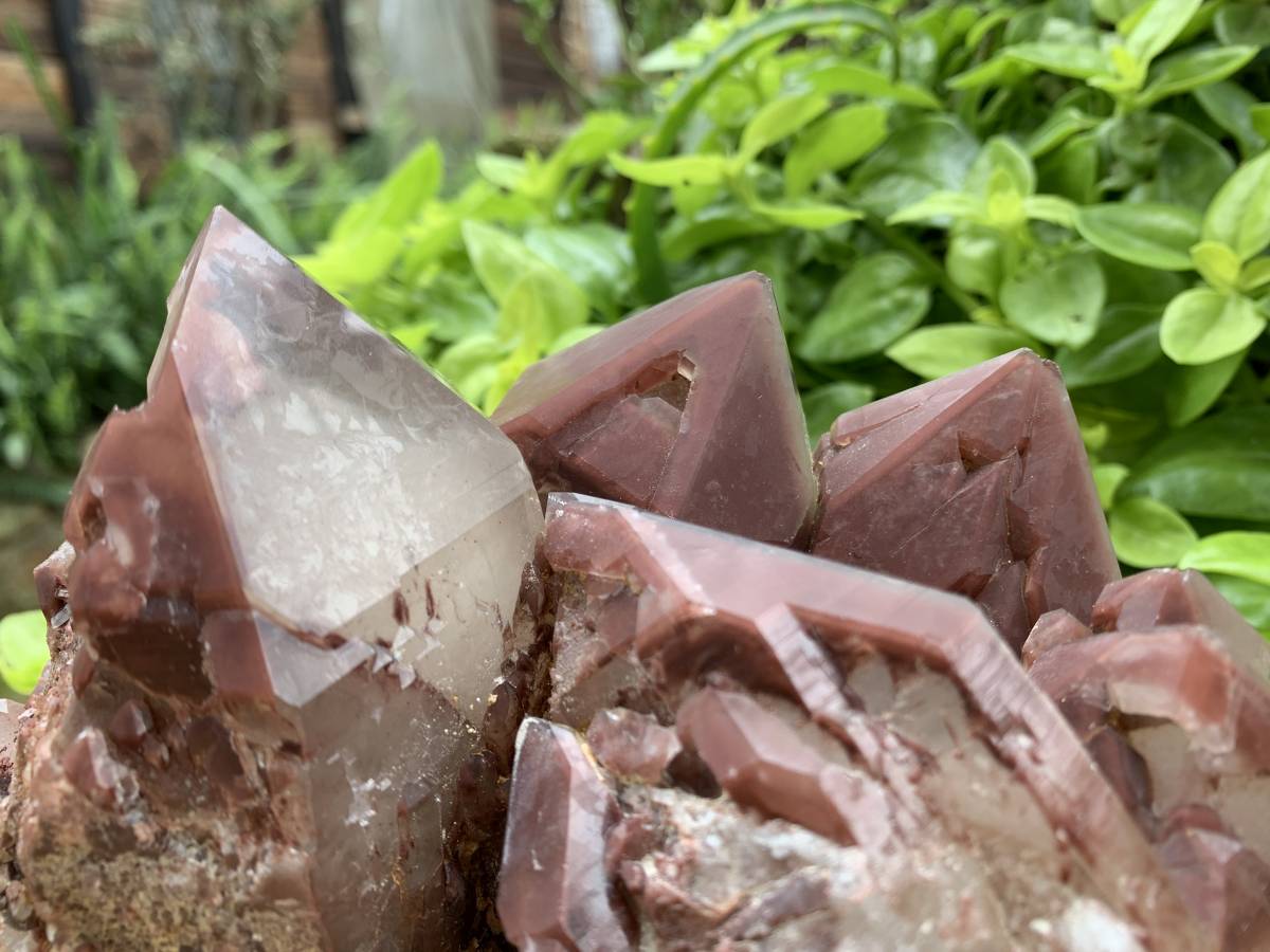 Natural XL Red Phantom Hematoid Quartz Crystal Cluster x 1 From Karoi, Zimbabwe