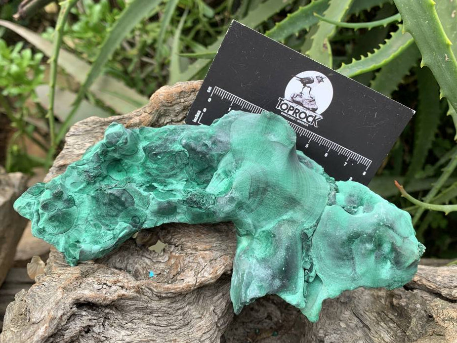 Natural Rare Silky Velvet Malachite Specimen x 1 From Kasompe, Congo
