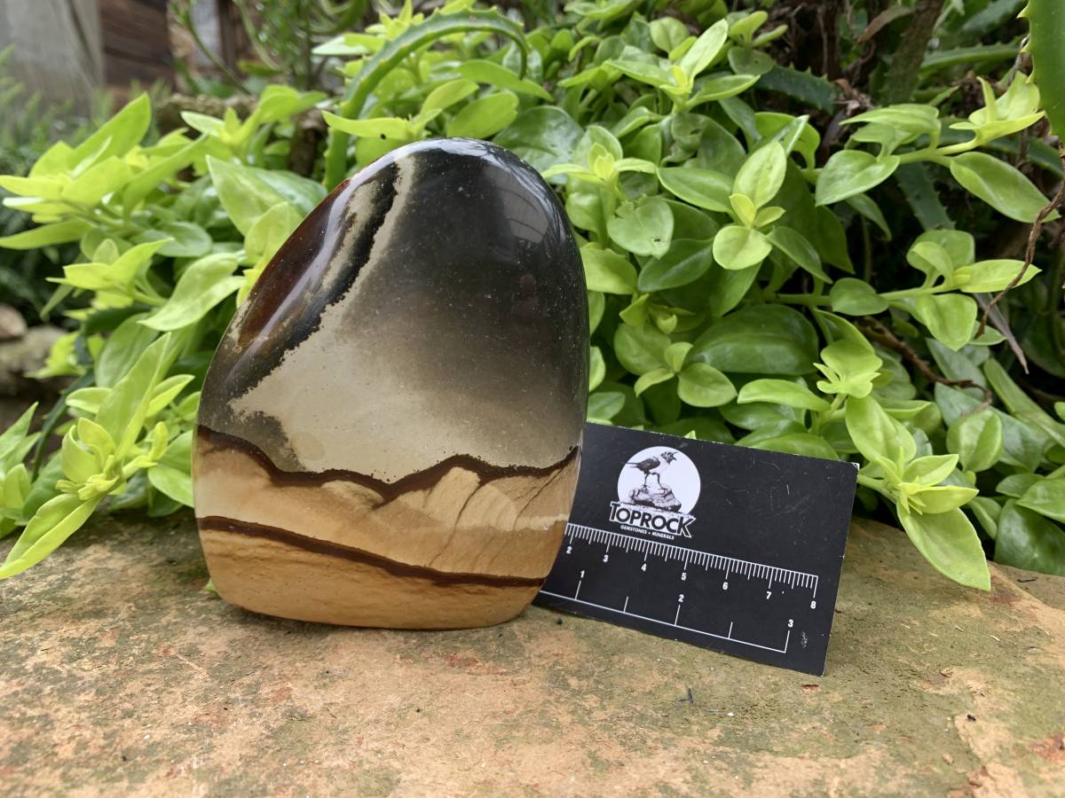 Polished Polychrome Jasper Standing Free Form x 1 from Northwest Coast, Madagascar