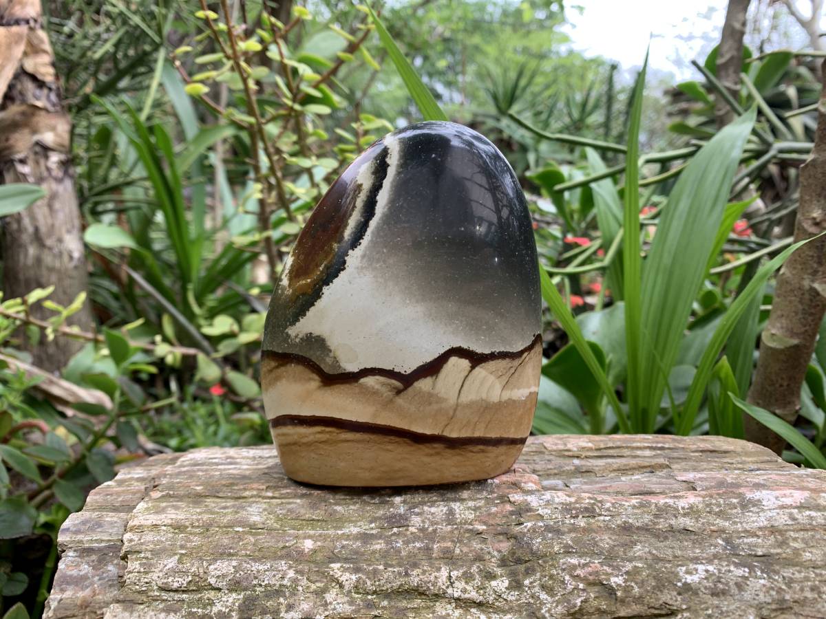 Polished Polychrome Jasper Standing Free Form x 1 from Northwest Coast, Madagascar