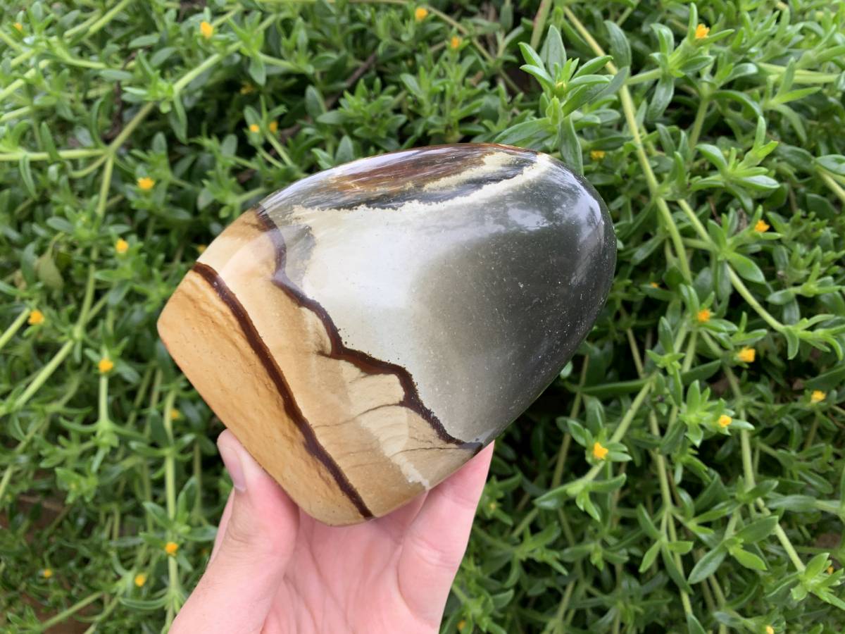 Polished Polychrome Jasper Standing Free Form x 1 from Northwest Coast, Madagascar