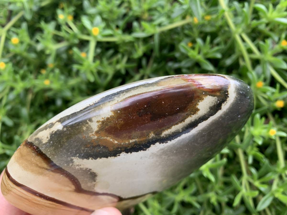 Polished Polychrome Jasper Standing Free Form x 1 from Northwest Coast, Madagascar
