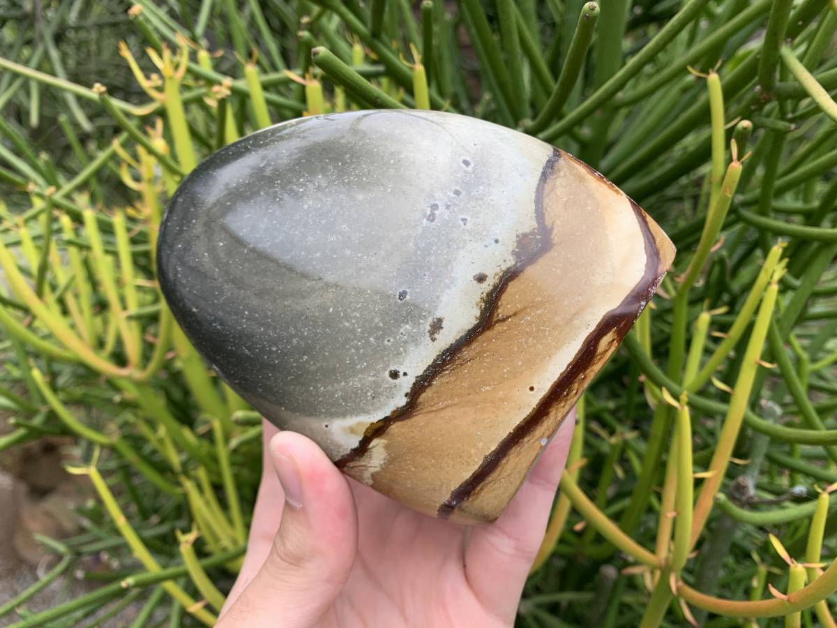 Polished Polychrome Jasper Standing Free Form x 1 from Northwest Coast, Madagascar