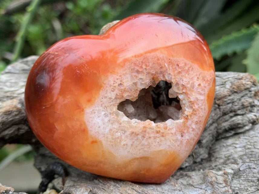 Polished Carnelian Gemstone Heart x 1 From Madagascar