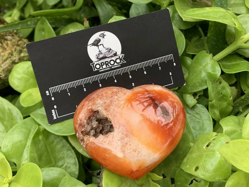Polished Carnelian Gemstone Heart x 1 From Madagascar