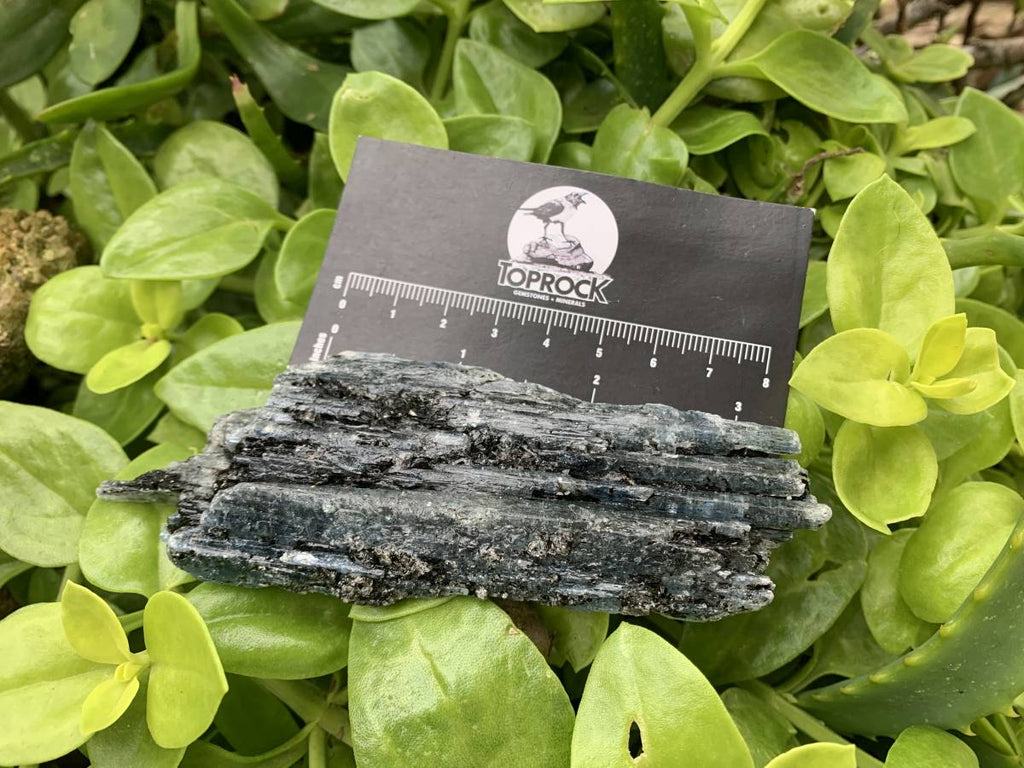 Natural Large Blue Kyanite with Biotite Mica Specimen x 1 From Karoi, Zimbabwe