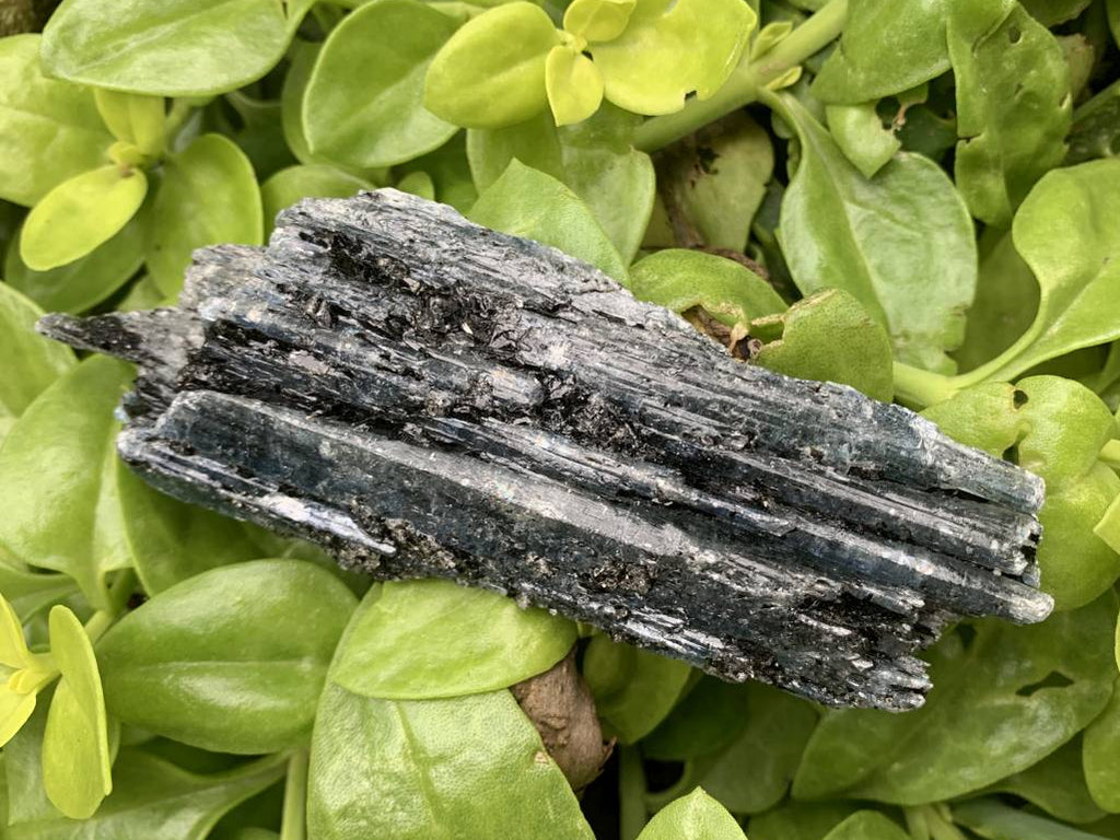 Natural Large Blue Kyanite with Biotite Mica Specimen x 1 From Karoi, Zimbabwe