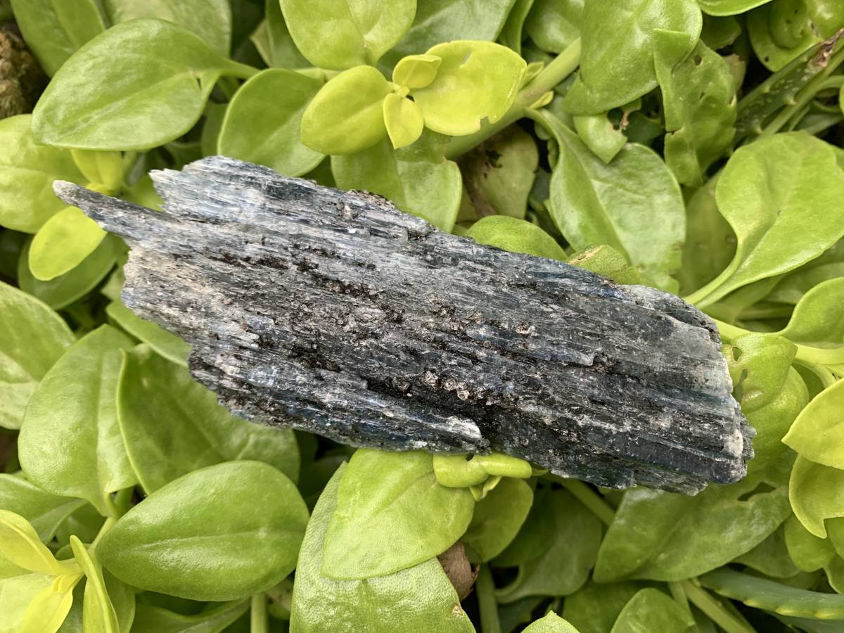 Natural Large Blue Kyanite with Biotite Mica Specimen x 1 From Karoi, Zimbabwe