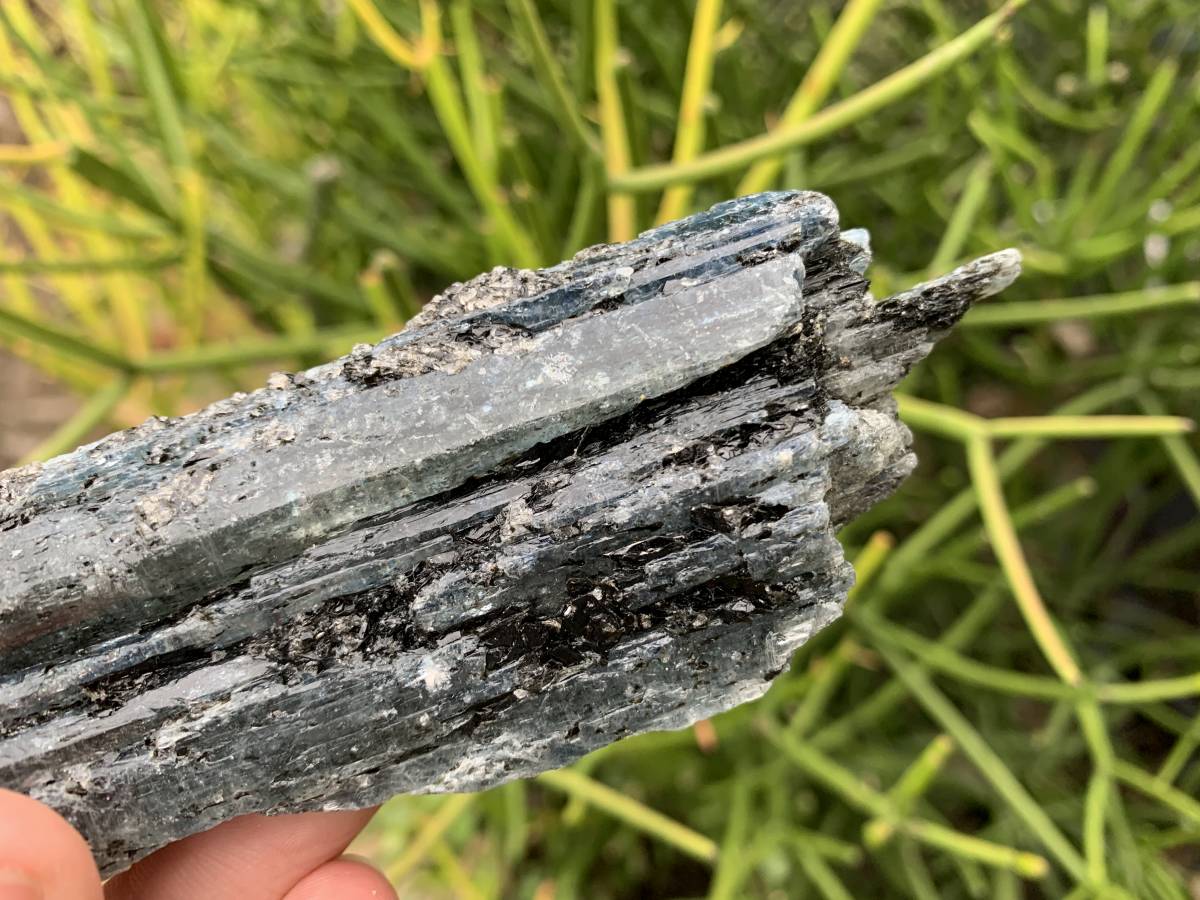 Natural Large Blue Kyanite with Biotite Mica Specimen x 1 From Karoi, Zimbabwe