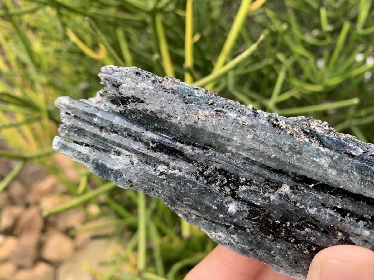 Natural Large Blue Kyanite with Biotite Mica Specimen x 1 From Karoi, Zimbabwe