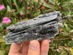 Natural Large Blue Kyanite with Biotite Mica Specimen x 1 From Karoi, Zimbabwe