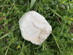Natural Rare Druzy Coated Tabular Quartz x 1 from Pella, South Africa