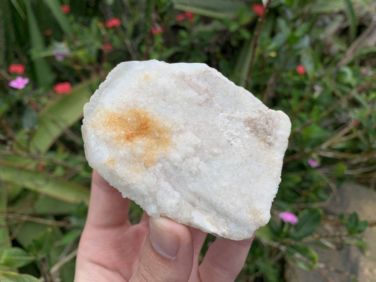 Natural Rare Druzy Coated Tabular Quartz x 1 from Pella, South Africa