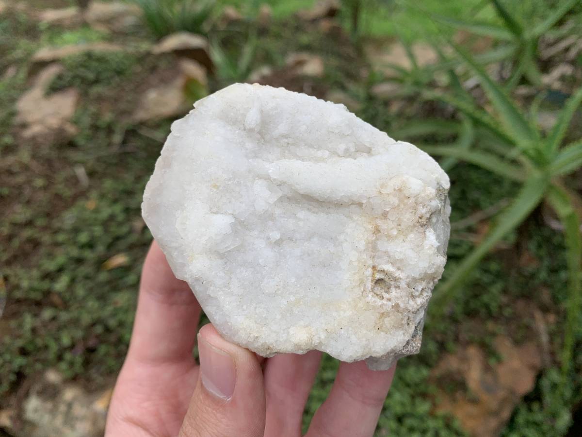 Natural Rare Druzy Coated Tabular Quartz x 1 from Pella, South Africa