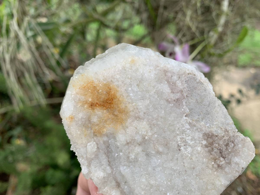Natural Rare Druzy Coated Tabular Quartz x 1 from Pella, South Africa