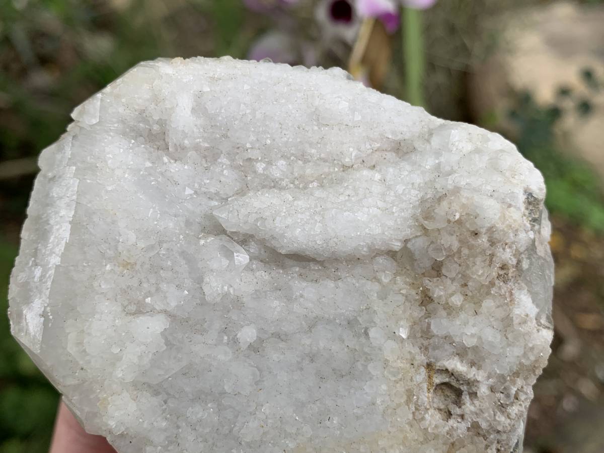 Natural Rare Druzy Coated Tabular Quartz x 1 from Pella, South Africa