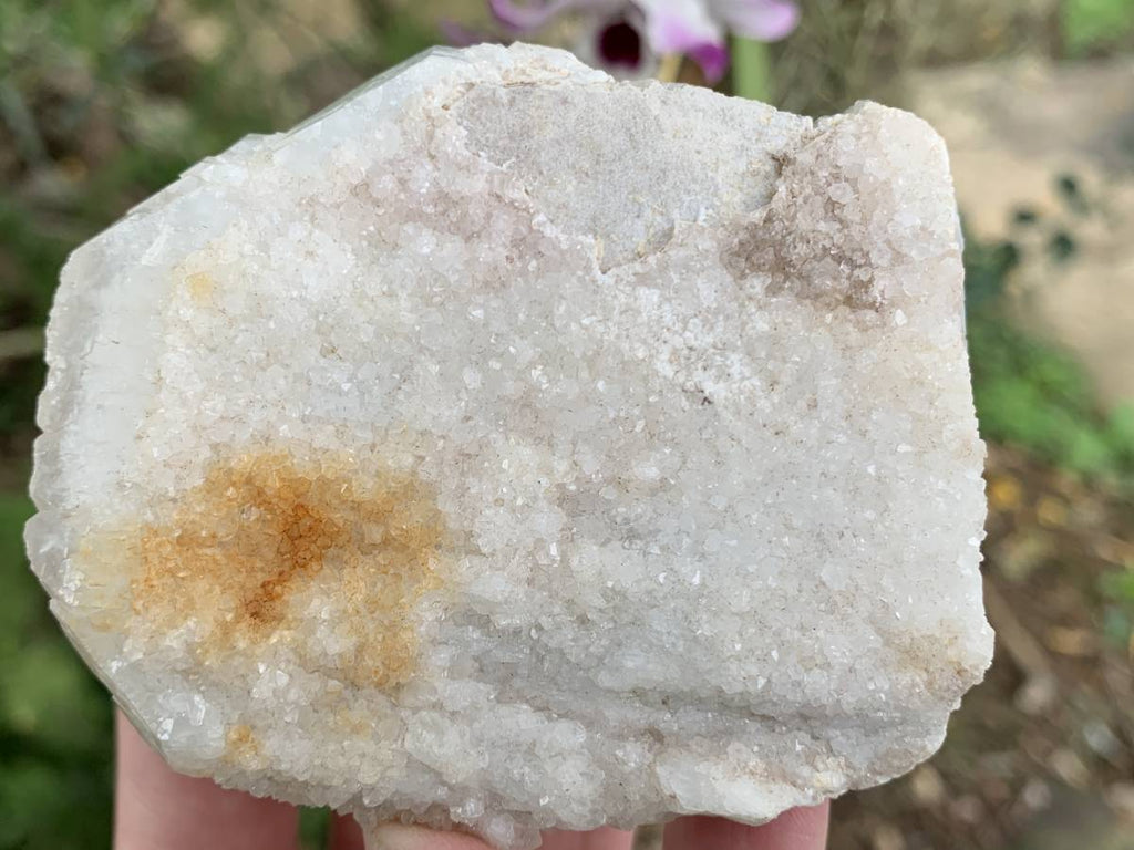 Natural Rare Druzy Coated Tabular Quartz x 1 from Pella, South Africa