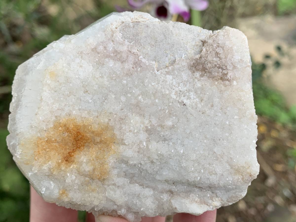Natural Rare Druzy Coated Tabular Quartz x 1 from Pella, South Africa