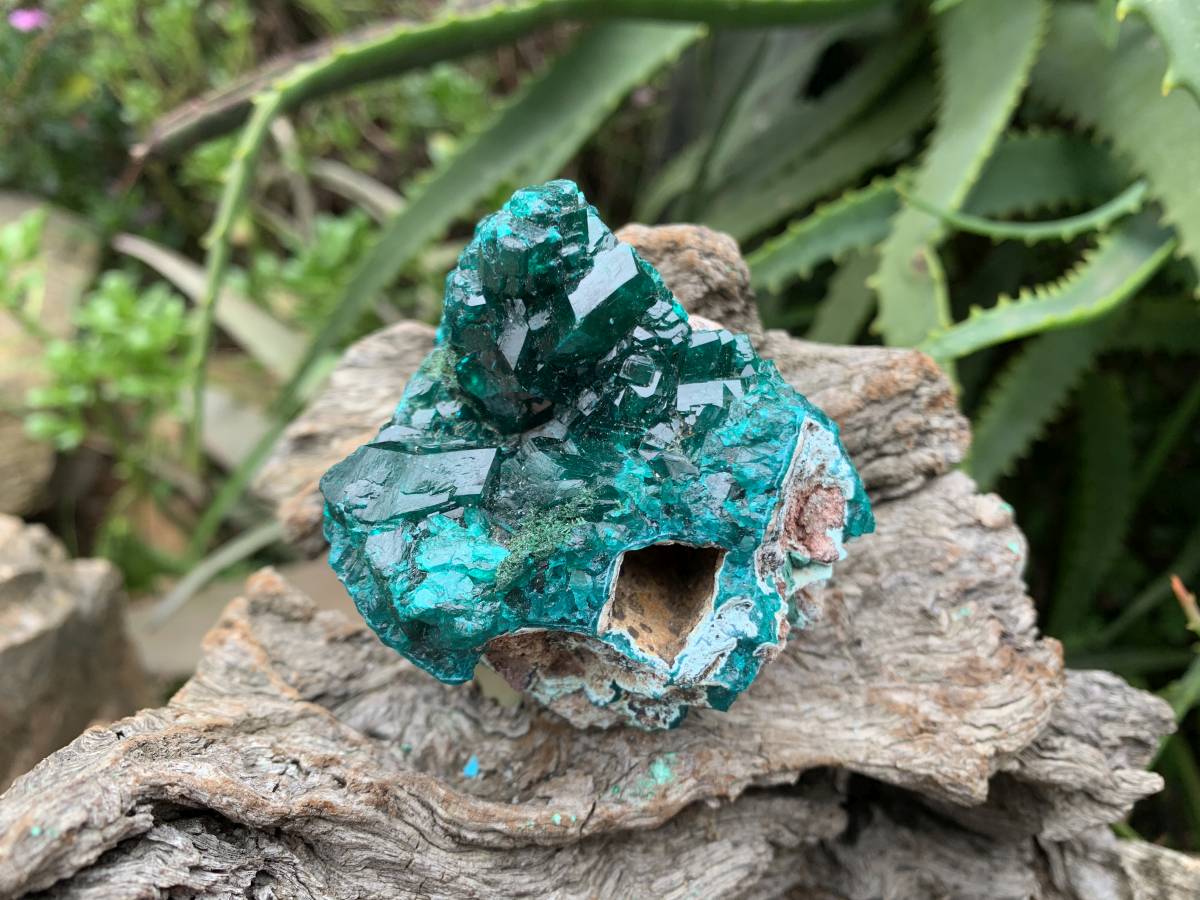Natural Rare Dioptase and Crystalline Malachite Specimen x 1 From Likasi, Congo