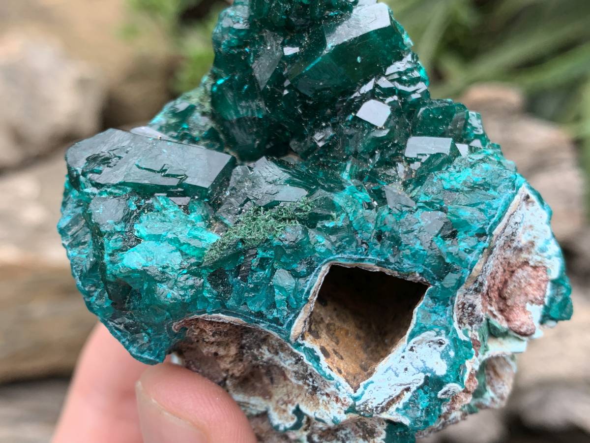 Natural Rare Dioptase and Crystalline Malachite Specimen x 1 From Likasi, Congo
