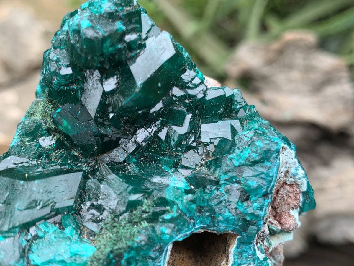 Natural Rare Dioptase and Crystalline Malachite Specimen x 1 From Likasi, Congo