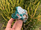 Natural Rare Dioptase and Crystalline Malachite Specimen x 1 From Likasi, Congo