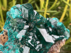Natural Rare Dioptase and Crystalline Malachite Specimen x 1 From Likasi, Congo