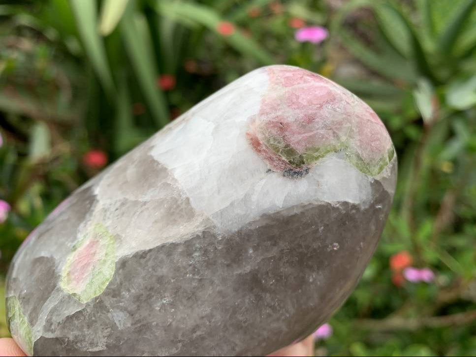 Polished Watermelon Tourmaline in Smokey Quartz Standing Free Form x 1 From Mozambique