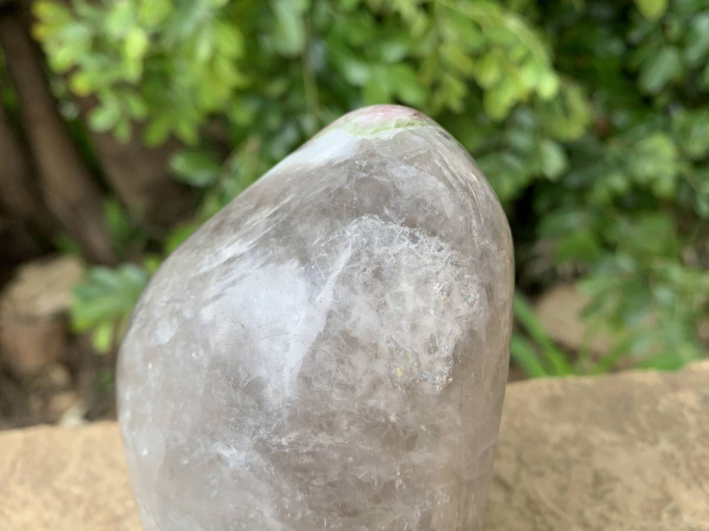 Polished Watermelon Tourmaline in Smokey Quartz Standing Free Form x 1 From Mozambique