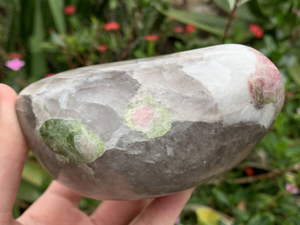 Polished Watermelon Tourmaline in Smokey Quartz Standing Free Form x 1 From Mozambique